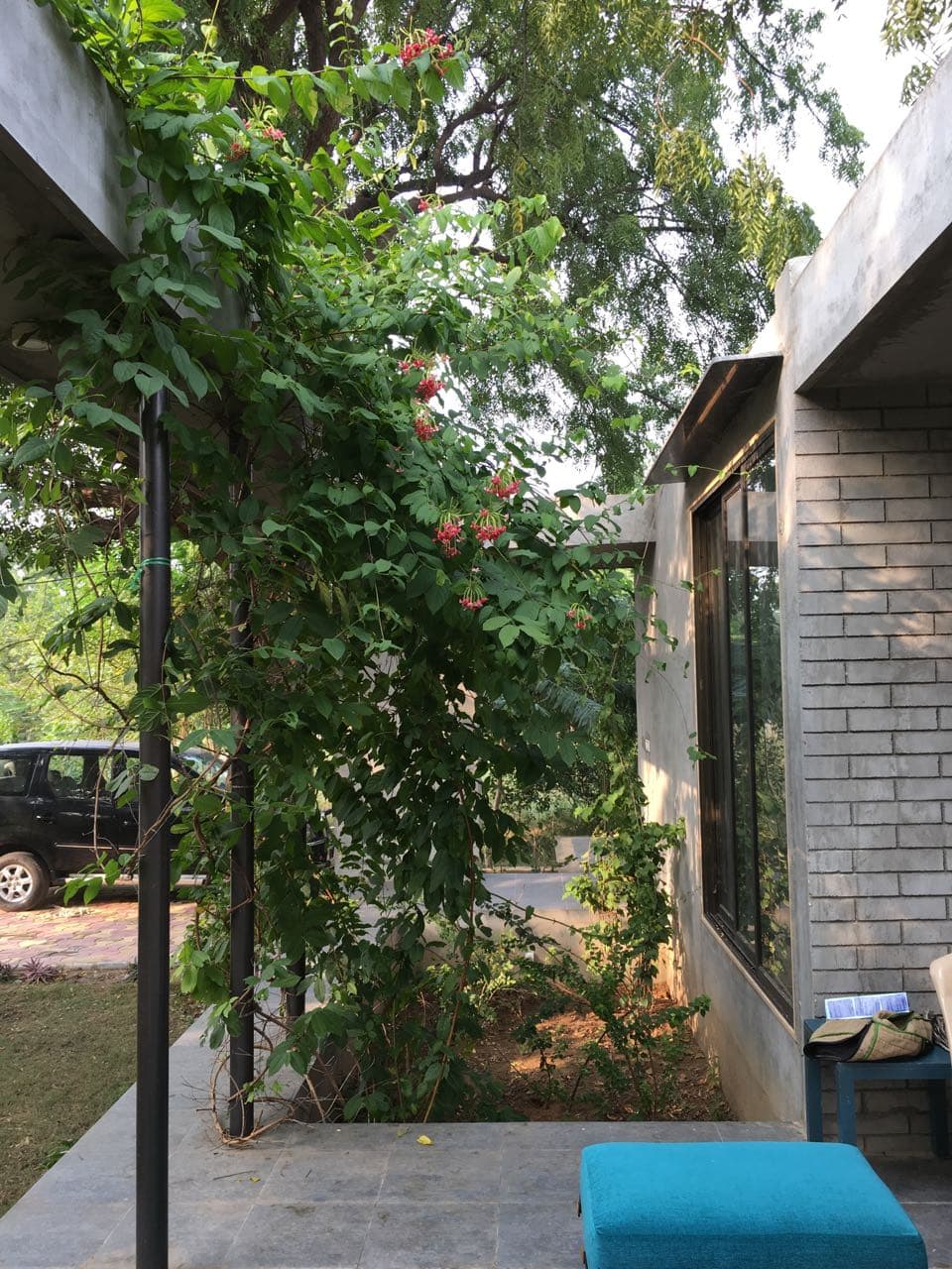 Varsoda Site - Image 5