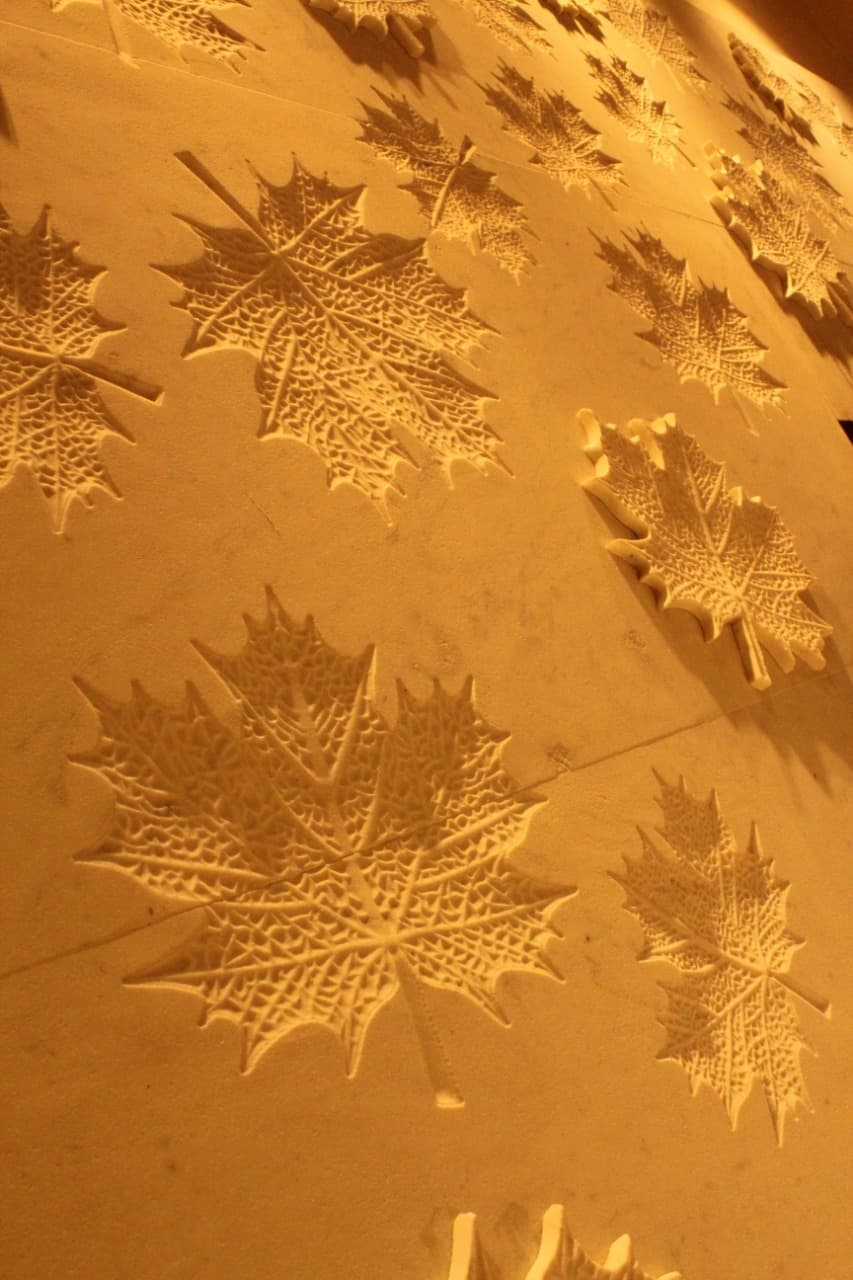 Mr. Bhadoraia Site - Image 28